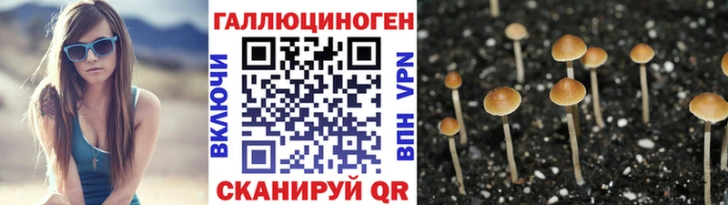 как найти закладки Кукмор Псилоцибиновые грибы MAGIC MUSHROOMS